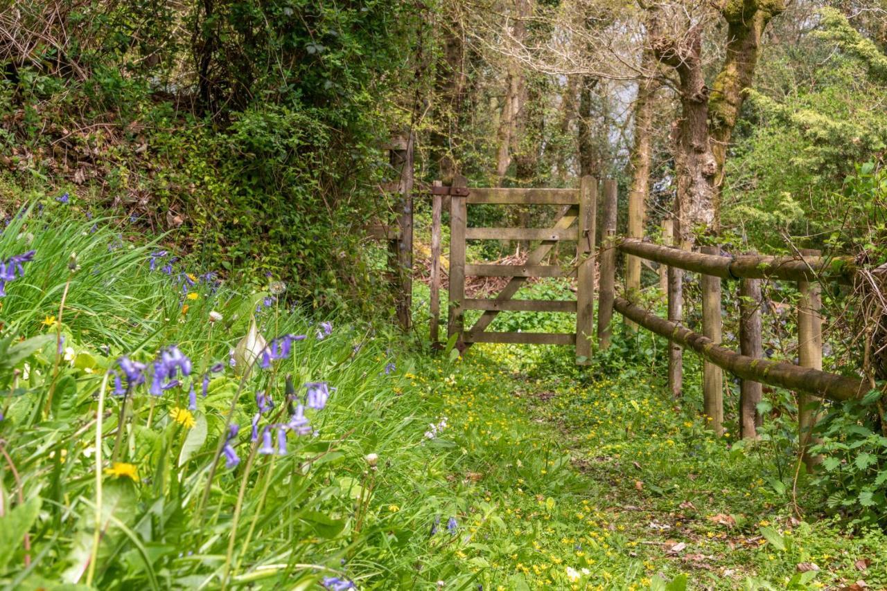 Bed & Breakfast Nutsford House *